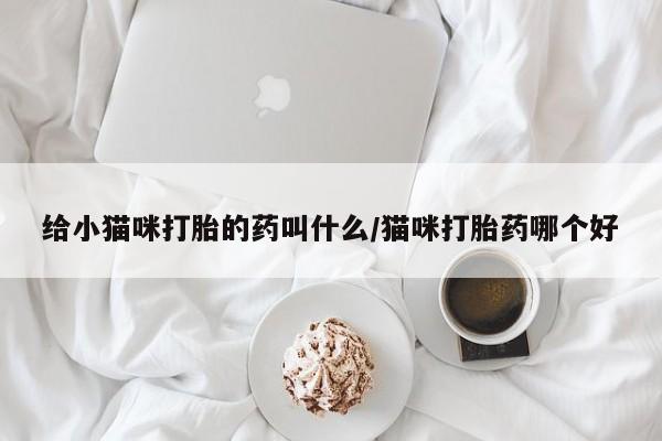 堕胎药网上正品购买微信给小猫咪打胎的药叫什么/猫咪打胎药哪个好