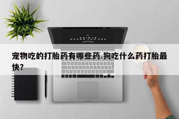 堕胎药网上正品购买微信宠物吃的打胎药有哪些药.狗吃什么药打胎最快？